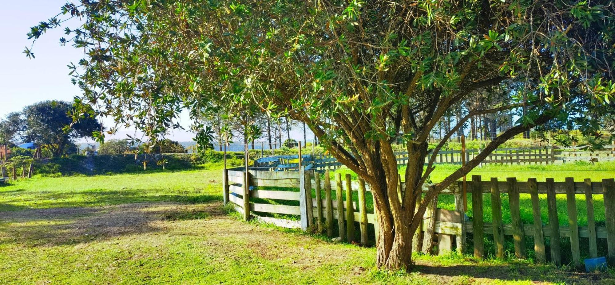 Moonsong Accommodation & Camping Plettenberg Bay Bagian luar foto