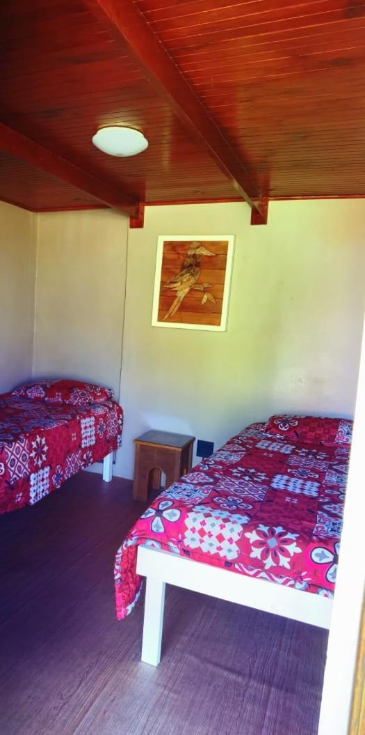 Moonsong Accommodation & Camping Plettenberg Bay Bagian luar foto